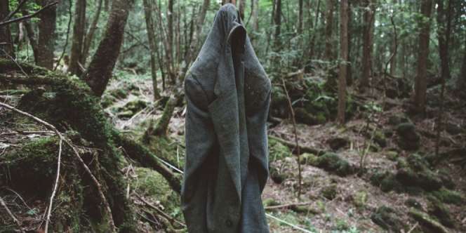 Seram! Ini Dia 9 Hutan Paling Angker di Dunia