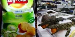 8 Bahan Makanan Nyeleneh yang Cuma Ada di Tiongkok