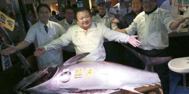 Ini Ikan Termahal Sejagat di Awal 2017