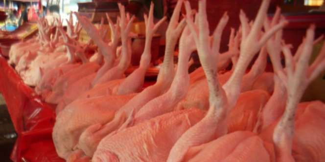 Netizen Heboh Tips Ayam Segar Kakinya Harus Tegak ke Atas