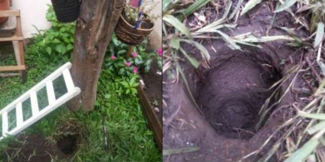 Ketemu Benda dalam Tanah, Saat Dibuka Ternyata Berisi Kutukan