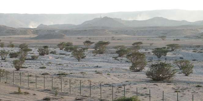 Menguak Kisah di Balik 'Lembah Kemenyan' Wadi Dawkah