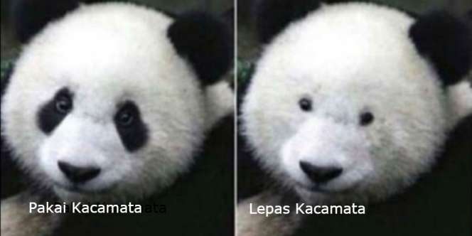 Cuma Orang Berkacamata yang Mengerti 14 `Penderitaan` Ini