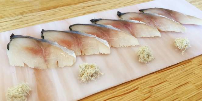 7 Jenis Ikan Yang Sebaiknya Tak Dikonsumsi Ibu Hamil