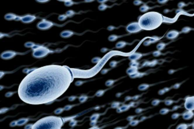 Wahai Para Pria, Ini Kebiasaan yang Merusak Kualitas Sperma