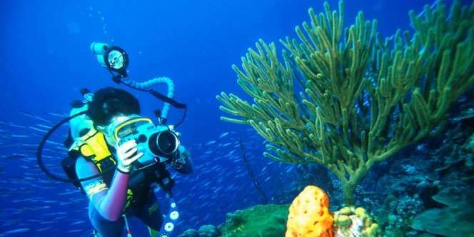 Indonesia Dinobatkan Jadi Destinasi Diving Terbaik Dunia 2017