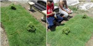 Kisah Hamparan Rumput di Pusara Sang Ayah Buat Nangis