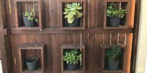 Ada Ular 1,8 Meter di Salah Satu Pot Ini, Bisa Tebak?
