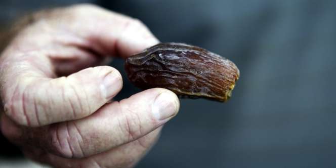 Sebutir Kurma Sebabkan Doa Nabi Ibrahim Tertolak Empat Bulan