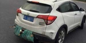 Mobil Mahal Digunakan Angkut Bebek dan Ayam