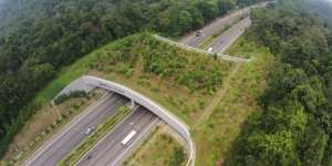 5 Jembatan `Mewah` Khusus untuk Hewan Liar
