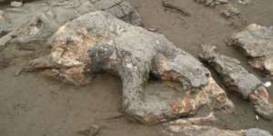 Cerita Sebenarnya Heboh Anak di Bogor Dikutuk Ibu Jadi Batu