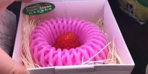 Stroberi Termahal Sebutir Rp293 Ribu, Apa Istimewanya?