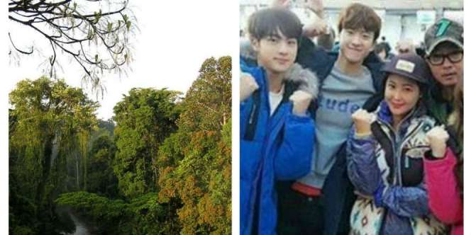 Artis-artis Korea Promosikan Hutan Sumatera Lewat Film