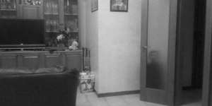 Sosok Menyeramkan Berdiri di Balik Pintu, Saat Didekati...