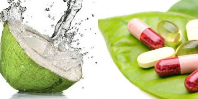 Benarkah Khasiat Obat Hilang Jika Diminum dengan Air Kelapa?