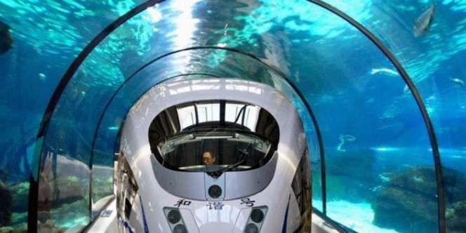 Keren! India Siapkan Kereta Cepat Bawah Laut Pertama di Dunia