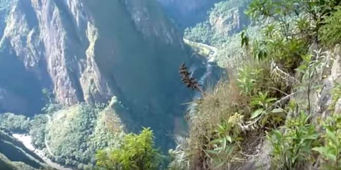 Ditakuti Traveler, Ini Dia 'Jalur Kematian' di Machu Picchu