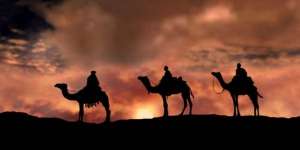 Unik! Festival Kecantikan Unta Hadiahnya Rp410 Miliar