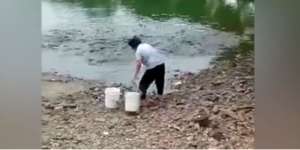 Wanita Itu Tuangkan Sesuatu di Tepi Kolam, Lihat yang Terjadi