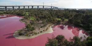 Inikah Penyebab Danau di Australia Berwarna Pink?