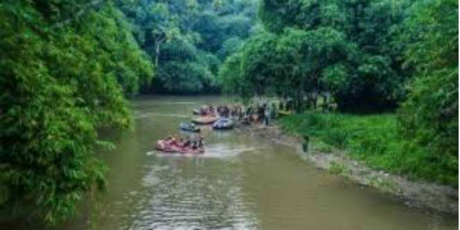 Kelestarian Ekosistem Ciliwung Jadi Perhatian Ahok