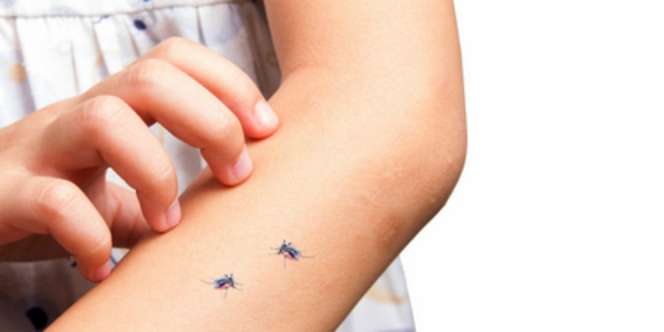 5 Penyebab Tubuh Sering Digigit Nyamuk