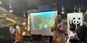 Produk Kecantikan Aman Berbahan Rumput Laut