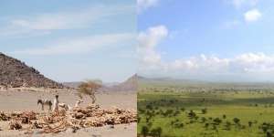 Jika Tak Ada Peristiwa Ini, Gurun Sahara Tetap Jadi Hutan