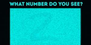 Setajam Binatang Apa Kemampuan Anda Membedakan Warna?