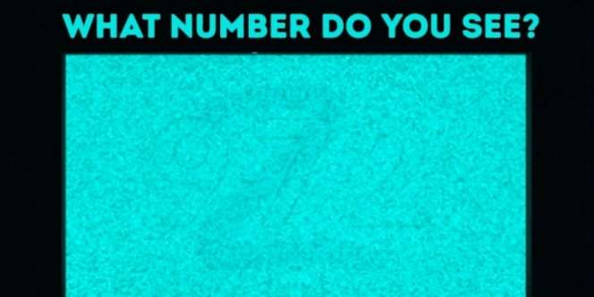 Setajam Binatang Apa Kemampuan Anda Membedakan Warna?