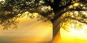 Ini yang Membuat Hari Senin Istimewa dalam Islam