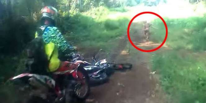 Video Kemunculan Suku Mante di Aceh Jadi Sorotan Dunia