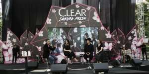 Atasi Rambut Ketombe Pakai Ekstrak Bunga Sakura