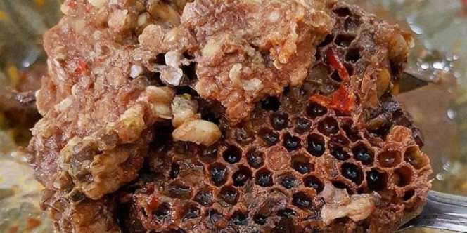 10 Kuliner Ekstrem dan Unik yang Ada di Indonesia