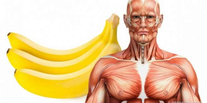 Menakjubkan, Ini yang Terjadi Jika Makan 2 Buah Pisang Sehari