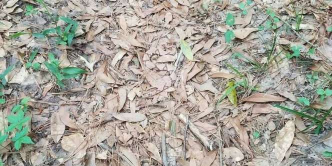 Banyak yang Merinding Lihat Foto Biasa Ini, Ada yang Janggal?