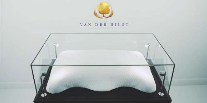 Harga Bantal Mewah Rp 759 Juta, Ternyata Isinya...