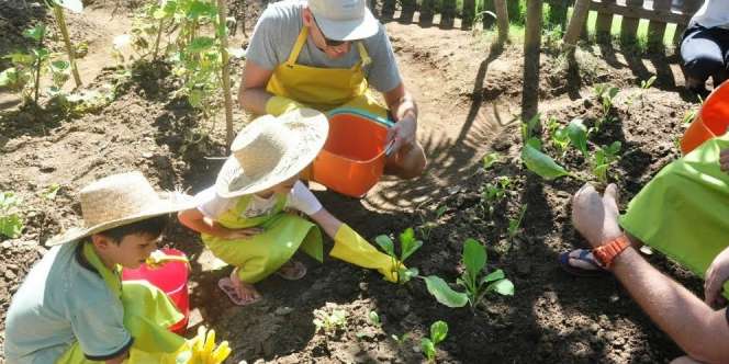 Jaga Lingkungan, Hotel Ini Ajak Para Tamunya Berkebun Organik