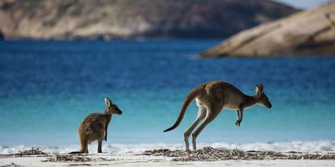 Ini Alasan Orang Indonesia Suka Melancong ke Australia Barat