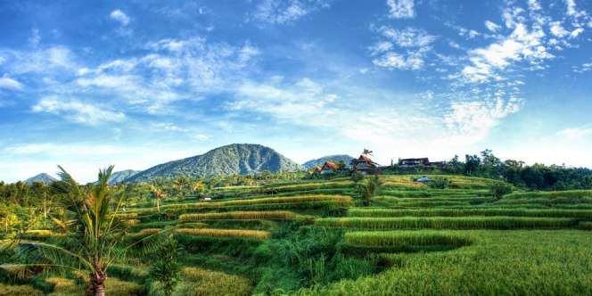 Keren! Buleleng Akan Tambah 10 Desa Wisata Baru Plus Homestay