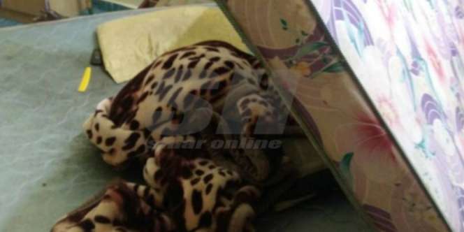Cium Bau Busuk di Rumah Mertua, Astaga yang Ditemukan...