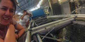 Mahasiswa Australia Keruk Ilmu dari Bawah Laut Indonesia