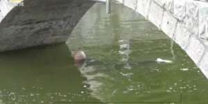 Coba Bunuh Diri Terjun ke Sungai, Ternyata...