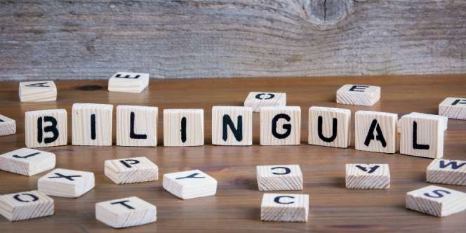 Belajar Banyak Bahasa Asing, Apa Untungnya Bagi Anak?