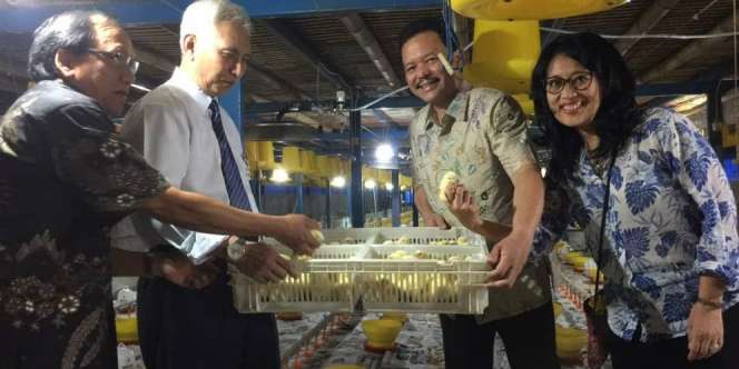 Cara Jitu Siapkan Sarjana Berwirausaha