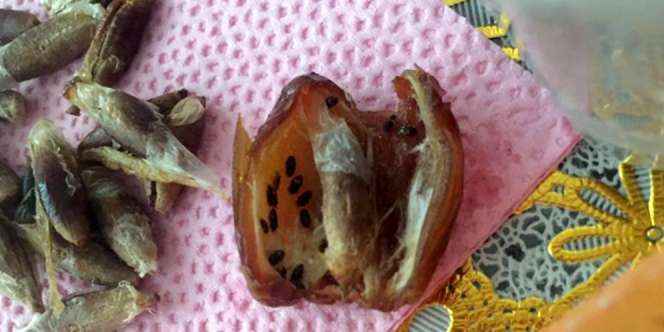 Merinding, Perempuan Ini Beli Kurma Bonus...