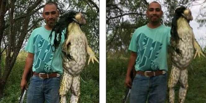 Tangkap Katak Raksasa, Pria Ini Langsung Tenar!
