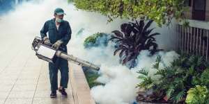 'Fogging' Tak Berantas Semua Jenis Nyamuk
