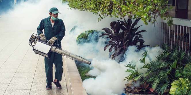 'Fogging' Tak Berantas Semua Jenis Nyamuk